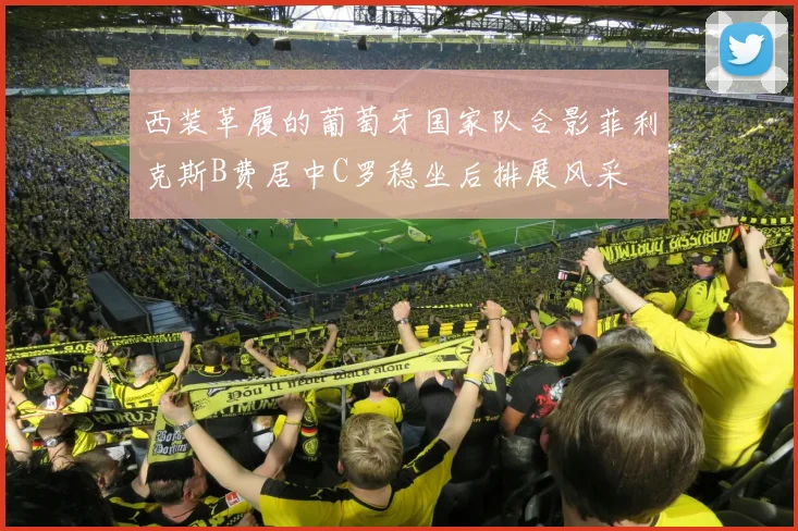 西装革履的葡萄牙国家队合影菲利克斯B费居中C罗稳坐后排展风采